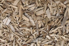 biomass boilers Carbost